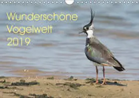 Najak | Wunderschöne Vogelwelt (Wandkalender 2019 DIN A4 quer) | Sonstiges | 978-3-669-84326-3 | www.sack.de