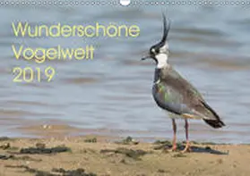 Najak | Wunderschöne Vogelwelt (Wandkalender 2019 DIN A3 quer) | Sonstiges | 978-3-669-84327-0 | www.sack.de