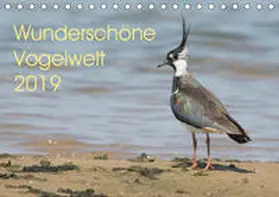 Najak | Wunderschöne Vogelwelt (Tischkalender 2019 DIN A5 quer) | Sonstiges | 978-3-669-84328-7 | www.sack.de