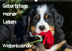 Starick |  Geburtstage meiner Lieben - Welpenkalender (Wandkalender 2019 DIN A3 quer) | Sonstiges |  Sack Fachmedien