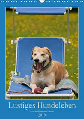 Bölts |  Lustiges Hundeleben - Azawakh Ridgeback Porträts (Wandkalender 2019 DIN A3 hoch) | Sonstiges |  Sack Fachmedien
