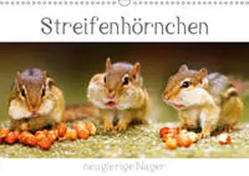 Mosert | Streifenhörnchen - neugierige Nager (Wandkalender 2019 DIN A3 quer) | Sonstiges | 978-3-669-85280-7 | www.sack.de