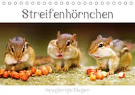 Mosert | Streifenhörnchen - neugierige Nager (Tischkalender 2019 DIN A5 quer) | Sonstiges | 978-3-669-85282-1 | www.sack.de