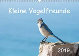 Styppa | Kleine Vogelfreunde (Wandkalender 2019 DIN A3 quer) | Sonstiges | 978-3-669-85483-2 | www.sack.de