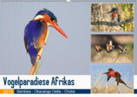 Herzog | Vogelparadiese Afrikas - Sambesi, Okavango Delta, Chobe (Wandkalender 2019 DIN A2 quer) | Sonstiges | 978-3-669-85496-2 | sack.de