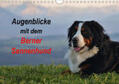 Hunscheidt |  Augenblicke mit dem Berner Sennenhund (Wandkalender 2019 DIN A4 quer) | Sonstiges |  Sack Fachmedien