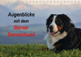 Hunscheidt | Augenblicke mit dem Berner Sennenhund (Tischkalender 2019 DIN A5 quer) | Sonstiges | 978-3-669-85954-7 | sack.de
