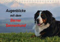 Hunscheidt |  Augenblicke mit dem Berner Sennenhund (Tischkalender 2019 DIN A5 quer) | Sonstiges |  Sack Fachmedien