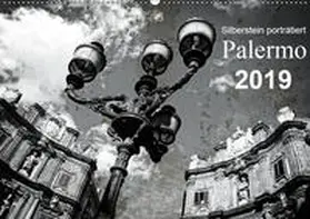 Silberstein |  Silberstein porträtiert Palermo (Wandkalender 2019 DIN A2 quer) | Sonstiges |  Sack Fachmedien