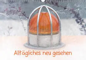 Silvimania |  Alltägliches neu gesehen (Wandkalender 2019 DIN A3 quer) | Sonstiges |  Sack Fachmedien