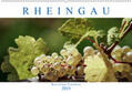 Meyer |  Rheingau - Riesling Trauben (Wandkalender 2019 DIN A2 quer) | Sonstiges |  Sack Fachmedien