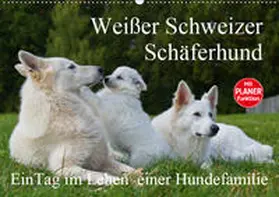 Starick |  Weißer Schweizer Schäferhund - Ein Tag im Leben einer Hundefamilie (Wandkalender 2019 DIN A2 quer) | Sonstiges |  Sack Fachmedien
