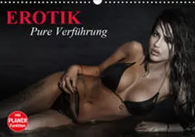 Stanzer |  Erotik. Pure Verführung (Wandkalender 2019 DIN A3 quer) | Sonstiges |  Sack Fachmedien