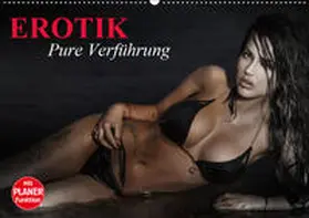 Stanzer |  Erotik. Pure Verführung (Wandkalender 2019 DIN A2 quer) | Sonstiges |  Sack Fachmedien