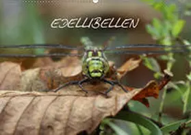 Brix - Studio Brix |  EDELLIBELLEN (Wandkalender 2019 DIN A2 quer) | Sonstiges |  Sack Fachmedien