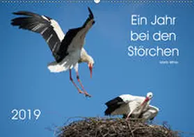 Bittner |  Ein Jahr bei den Störchen (Wandkalender 2019 DIN A2 quer) | Sonstiges |  Sack Fachmedien