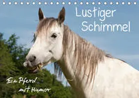Bölts |  Lustiger Schimmel - ein Pferd mit Humor (Tischkalender 2019 DIN A5 quer) | Sonstiges |  Sack Fachmedien
