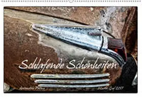 Graf |  Schlafende Schönheiten - Automobile Patina (Wandkalender 2019 DIN A2 quer) | Sonstiges |  Sack Fachmedien