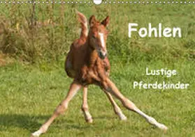 Bölts |  Fohlen - Lustige Pferdekinder (Wandkalender 2019 DIN A3 quer) | Sonstiges |  Sack Fachmedien