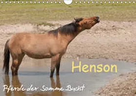 Bölts |  Henson - Pferde der Somme Bucht (Wandkalender 2019 DIN A4 quer) | Sonstiges |  Sack Fachmedien