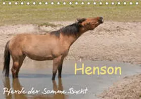 Bölts |  Henson - Pferde der Somme Bucht (Tischkalender 2019 DIN A5 quer) | Sonstiges |  Sack Fachmedien
