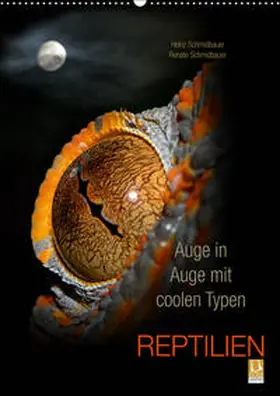 Schmidbauer |  Auge in Auge mit coolen Typen - REPTILIEN (Wandkalender 2019 DIN A2 hoch) | Sonstiges |  Sack Fachmedien