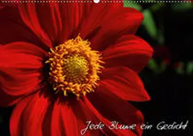 Mantke |  Jede Blume ein Gedicht (Wandkalender 2019 DIN A2 quer) | Sonstiges |  Sack Fachmedien
