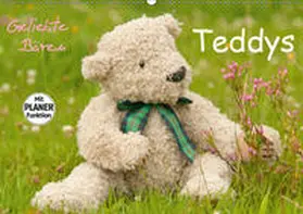 Bölts |  Geliebte Bären - Teddys (Wandkalender 2019 DIN A2 quer) | Sonstiges |  Sack Fachmedien
