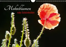 Bölts |  Mohnblumen - rote Schönheiten (Wandkalender 2019 DIN A4 quer) | Sonstiges |  Sack Fachmedien