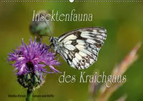 Reiter |  Insektenfauna des Kraichgaus (Wandkalender 2019 DIN A2 quer) | Sonstiges |  Sack Fachmedien