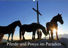 Kramer |  Pferde und Ponys im Paradies (Wandkalender 2019 DIN A2 quer) | Sonstiges |  Sack Fachmedien