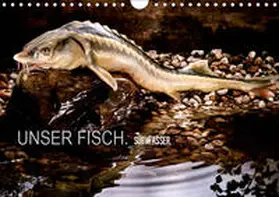 morgenstern |  UNSER FISCH. SÜßWASSER. (Wandkalender 2019 DIN A4 quer) | Sonstiges |  Sack Fachmedien