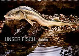 morgenstern |  UNSER FISCH. SÜßWASSER. (Wandkalender 2019 DIN A2 quer) | Sonstiges |  Sack Fachmedien