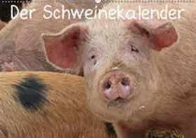 Schmutzler-Schaub |  Der Schweinekalender (Wandkalender 2019 DIN A2 quer) | Sonstiges |  Sack Fachmedien