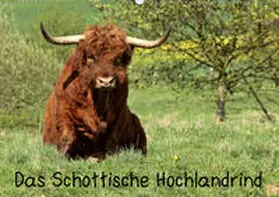 Schmutzler-Schaub |  Das Schottische Hochlandrind (Wandkalender 2019 DIN A2 quer) | Sonstiges |  Sack Fachmedien