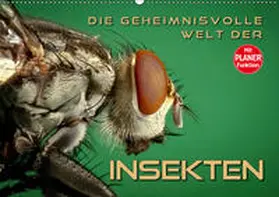 Bleicher | Die geheimnisvolle Welt der Insekten (Wandkalender 2019 DIN A2 quer) | Sonstiges | 978-3-669-96597-2 | www.sack.de