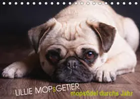 Raab | Lillie Mopsgetier - mopsfidel durchs Jahr (Tischkalender 2019 DIN A5 quer) | Sonstiges | 978-3-669-96763-1 | www.sack.de