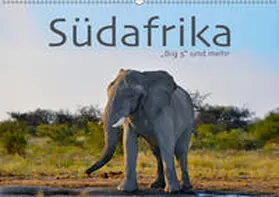 Styppa |  Südafrika - Big 5 und mehr (Wandkalender 2019 DIN A2 quer) | Sonstiges |  Sack Fachmedien