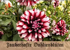 Schneller |  Zauberhafte Dahlienblüten (Wandkalender 2019 DIN A2 quer) | Sonstiges |  Sack Fachmedien