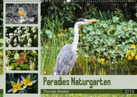 Becker |  Paradies Naturgarten (Wandkalender 2019 DIN A2 quer) | Sonstiges |  Sack Fachmedien