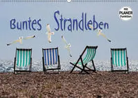 Bleicher |  Buntes Strandleben (Wandkalender 2019 DIN A2 quer) | Sonstiges |  Sack Fachmedien