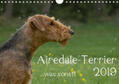Janz |  Airedale-Terrier, was sonst! (Wandkalender 2019 DIN A4 quer) | Sonstiges |  Sack Fachmedien