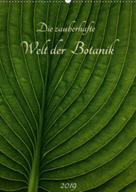 Pohl | Die zauberhafte Welt der Botanik (Wandkalender 2019 DIN A2 hoch) | Sonstiges | 978-3-670-00943-6 | sack.de