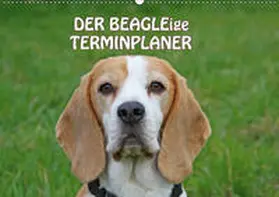 Lindert-Rottke |  DER BEAGLEige TERMINPLANER (Wandkalender 2019 DIN A2 quer) | Sonstiges |  Sack Fachmedien