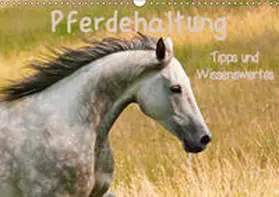 Bölts |  Pferdehaltung Tipps und Wissenswertes (Wandkalender 2019 DIN A3 quer) | Sonstiges |  Sack Fachmedien