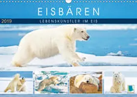 Calvendo / CALVENDO |  Eisbären: Lebenskünstler im Eis (Wandkalender 2019 DIN A3 quer) | Sonstiges |  Sack Fachmedien