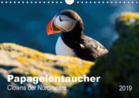 Wagner |  PAPAGEIENTAUCHER - Clowns der Nordmeere (Wandkalender 2019 DIN A4 quer) | Sonstiges |  Sack Fachmedien