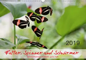 Zeidler |  Falter, Spinner und Schwärmer (Wandkalender 2019 DIN A3 quer) | Sonstiges |  Sack Fachmedien