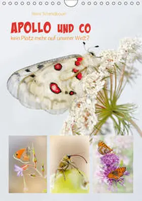 Schmidbauer |  APOLLO UND CO (Wandkalender 2019 DIN A4 hoch) | Sonstiges |  Sack Fachmedien