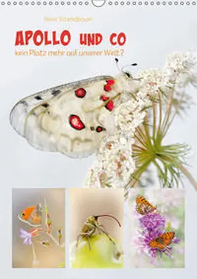 Schmidbauer | APOLLO UND CO (Wandkalender 2019 DIN A3 hoch) | Sonstiges | 978-3-670-03544-2 | www.sack.de